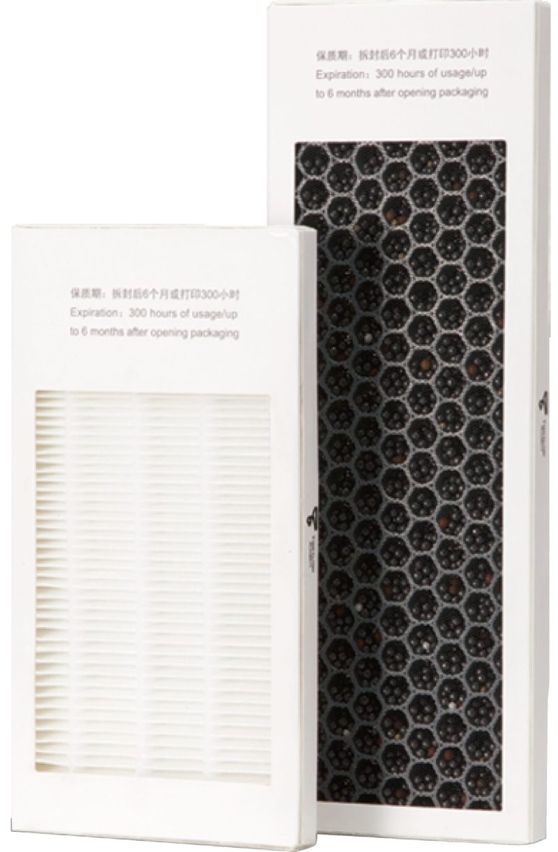 HEPA and Activated Carbon filter set for H+1