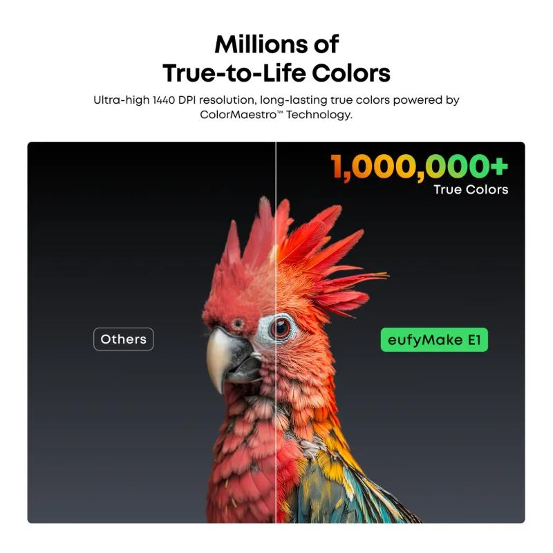 A parrot printed in true color on the eufyMake E1, compared with other printers